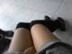 Gambette