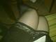 gambe